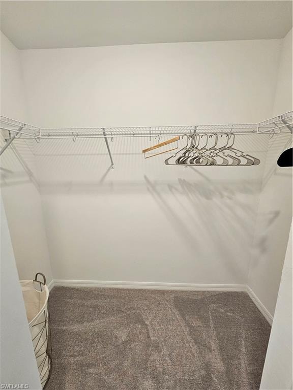 5427 Double Eagle CIR 2826 photo 26