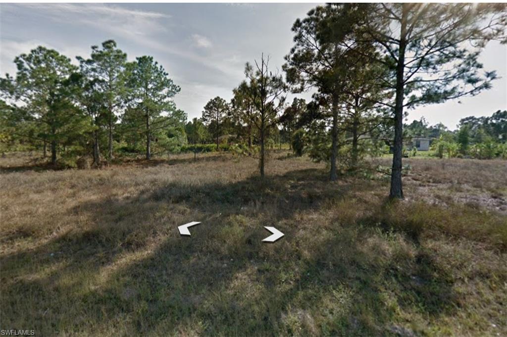 View of undeveloped land