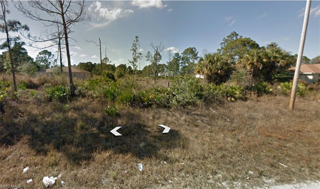 View of undeveloped land