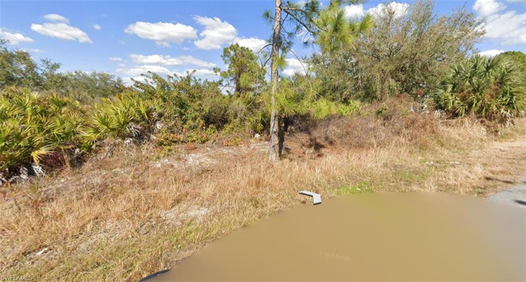 View of undeveloped land