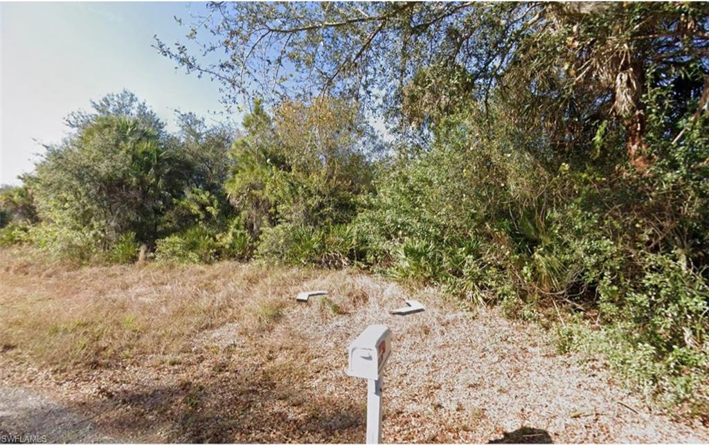 View of undeveloped land
