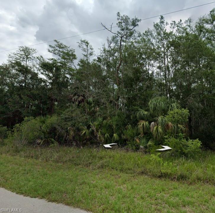 View of local wilderness