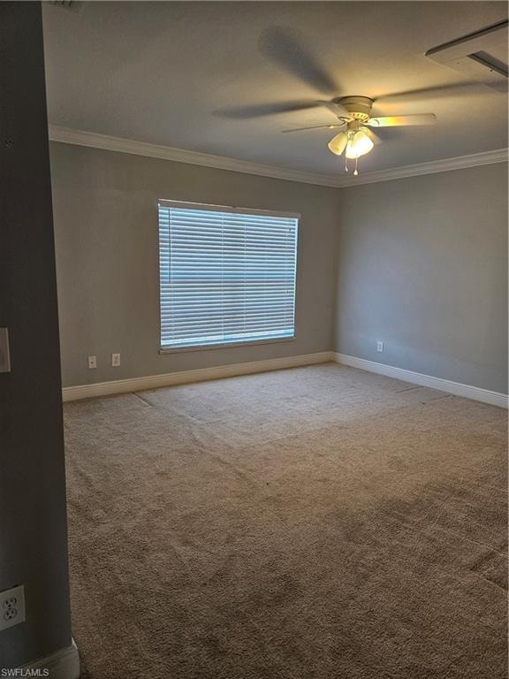 20012 Petrucka CIR N D photo 11