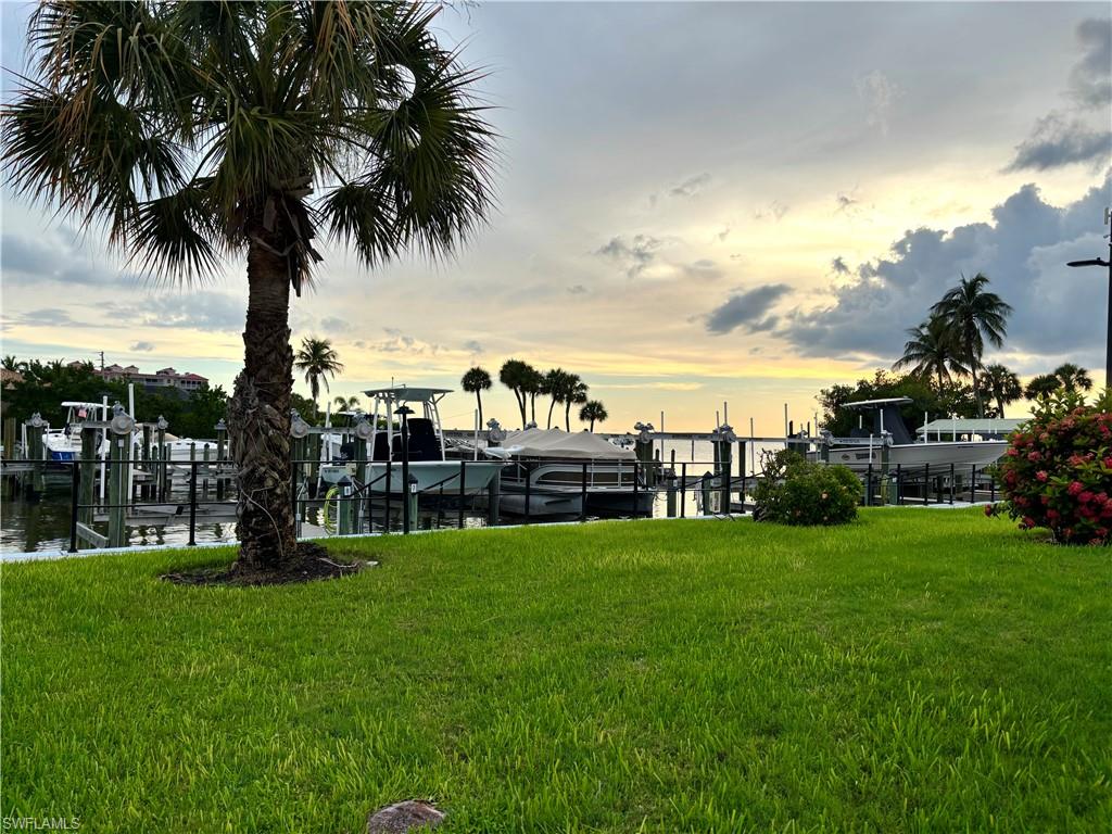 15100 Whimbrel CT photo 23