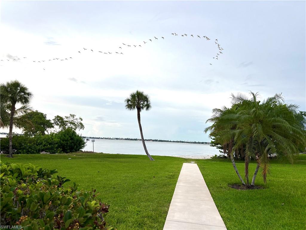 15100 Whimbrel CT photo 27