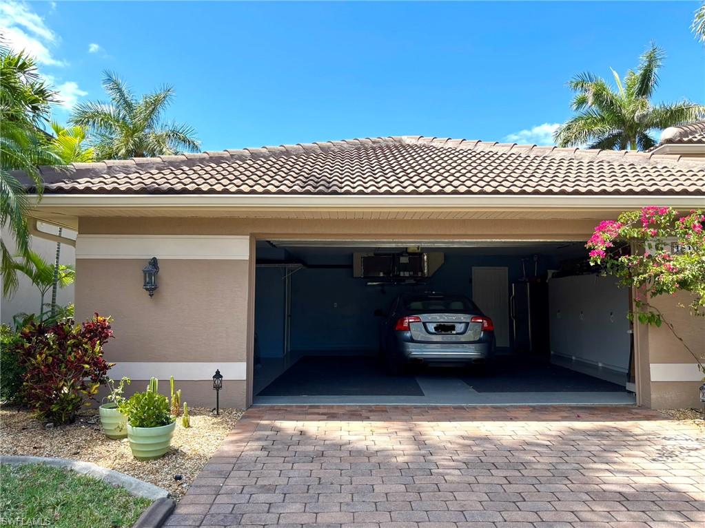 15100 Whimbrel CT