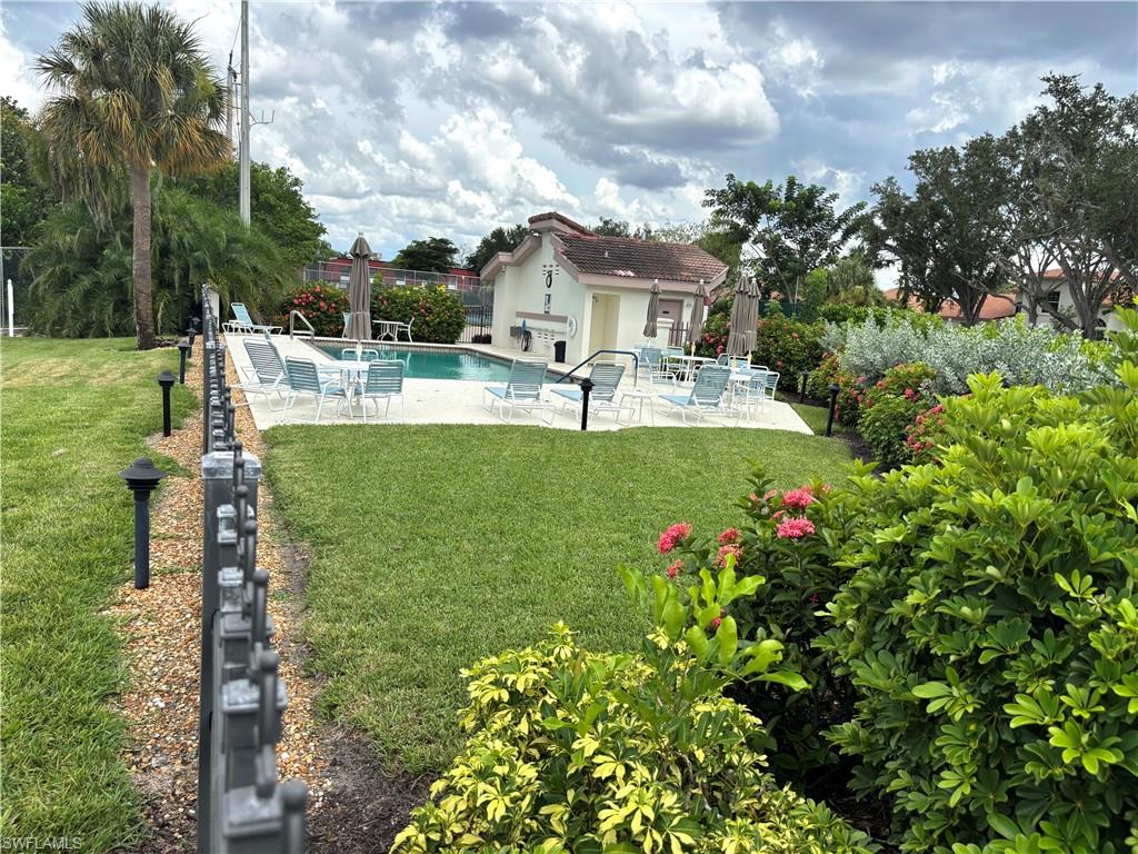 15100 Whimbrel CT photo 36