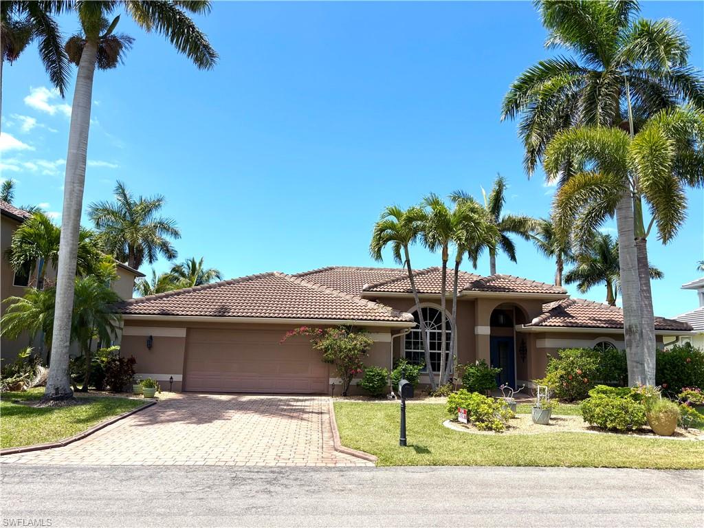 15100 Whimbrel CT