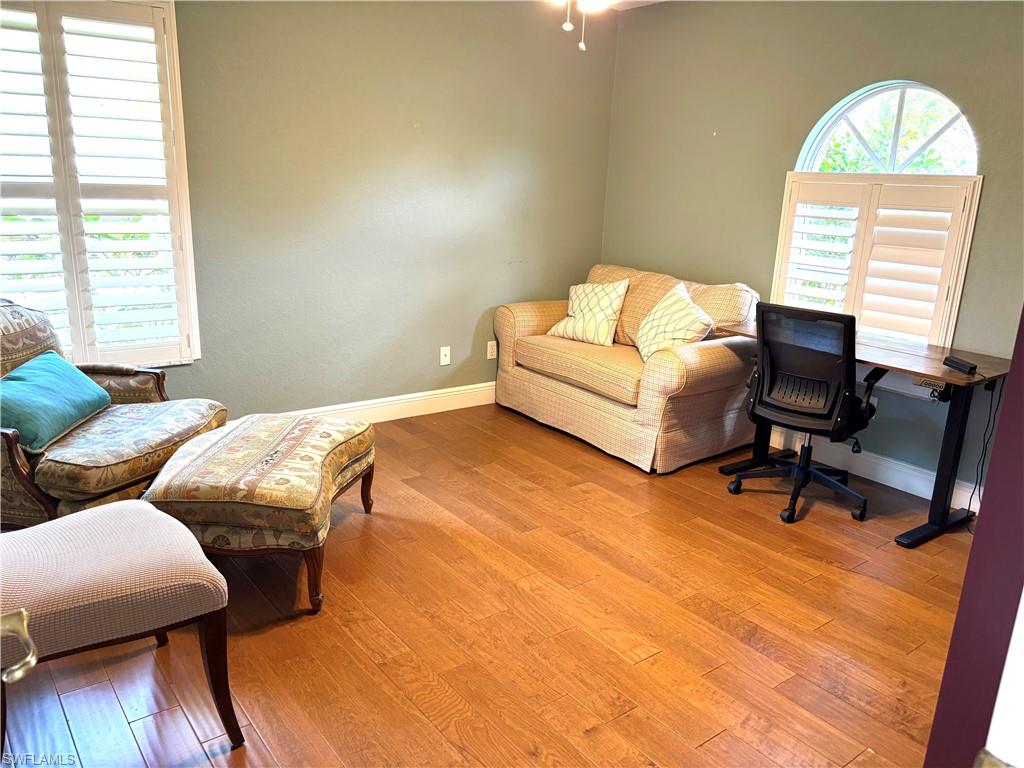 15100 Whimbrel CT photo 20