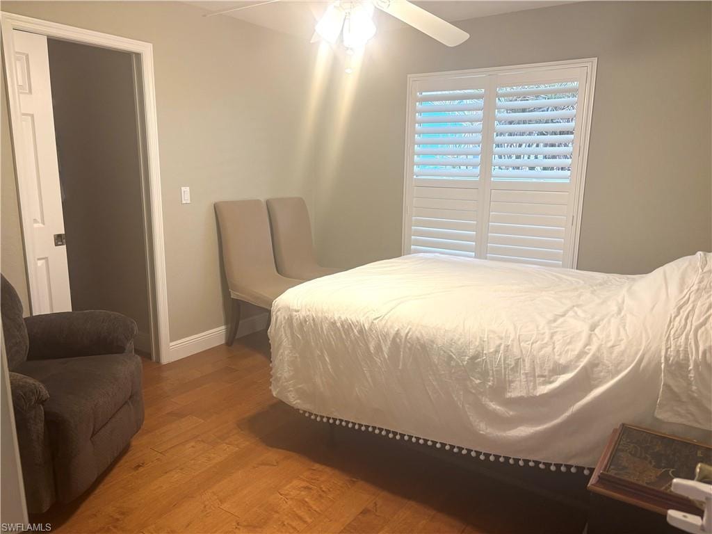 15100 Whimbrel CT photo 19