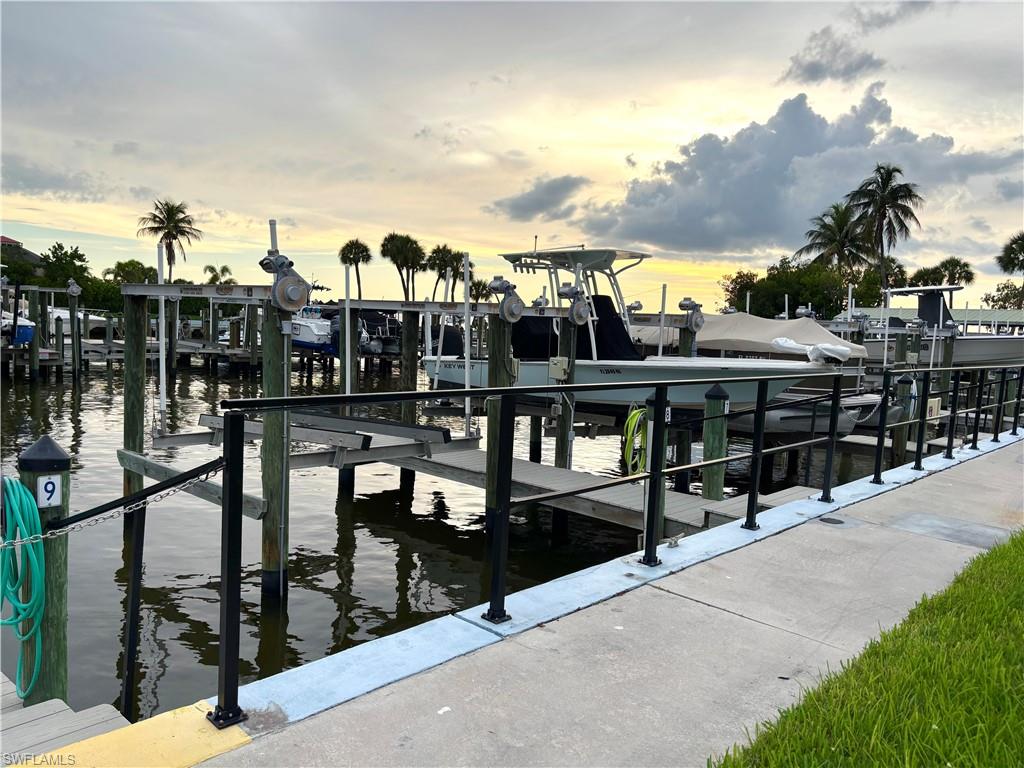 15100 Whimbrel CT photo 25