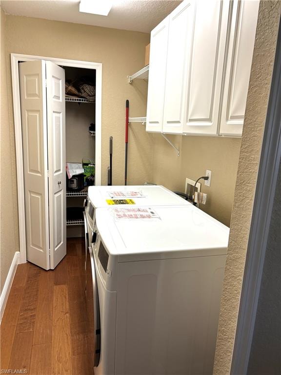 15100 Whimbrel CT photo 21
