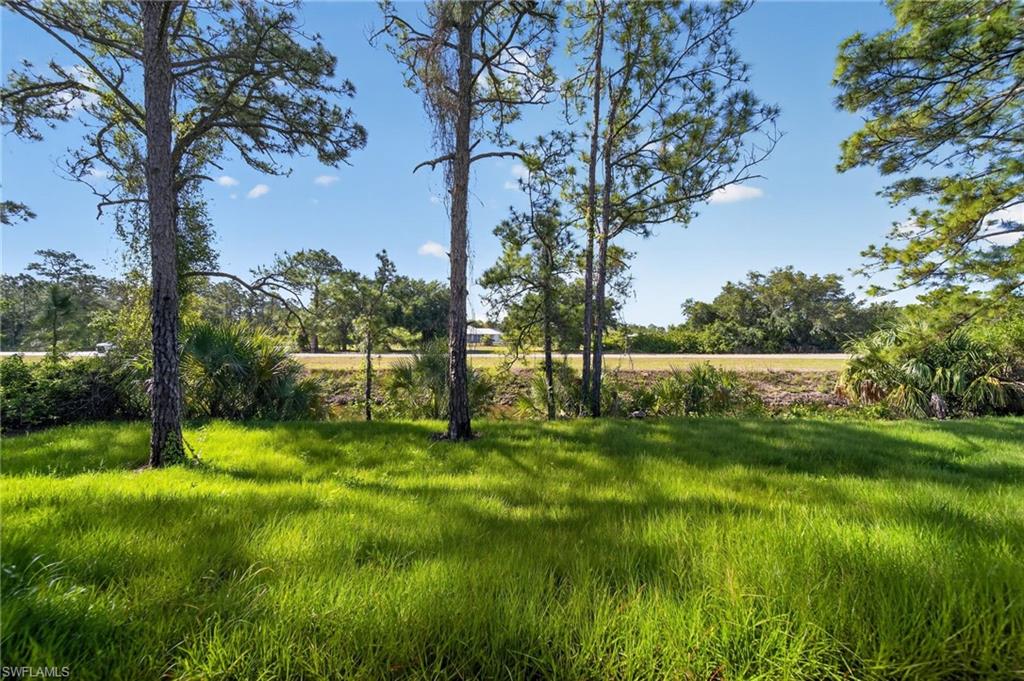 Expansive green space featuring tall trees and natural landscaping
