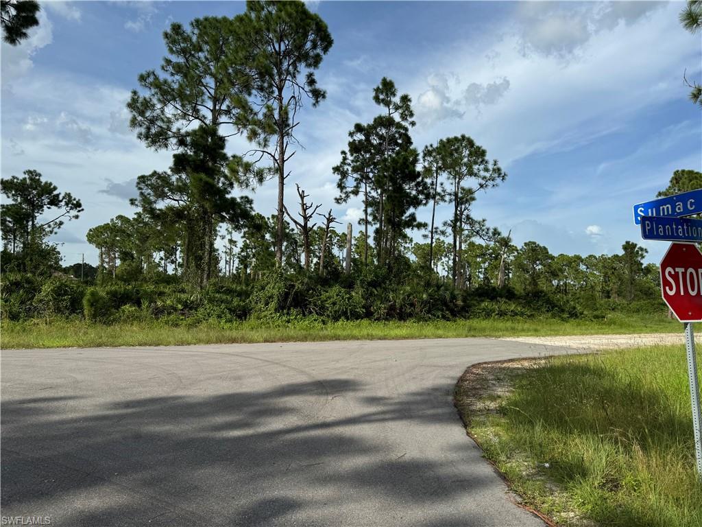 1123 Plantation RD