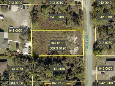 Aerial Parcel Map. Displaying property boundaries and identification numbers for the property