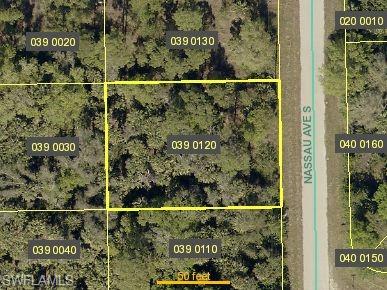 Parcel Map. Displaying property boundaries and identification numbers for the property