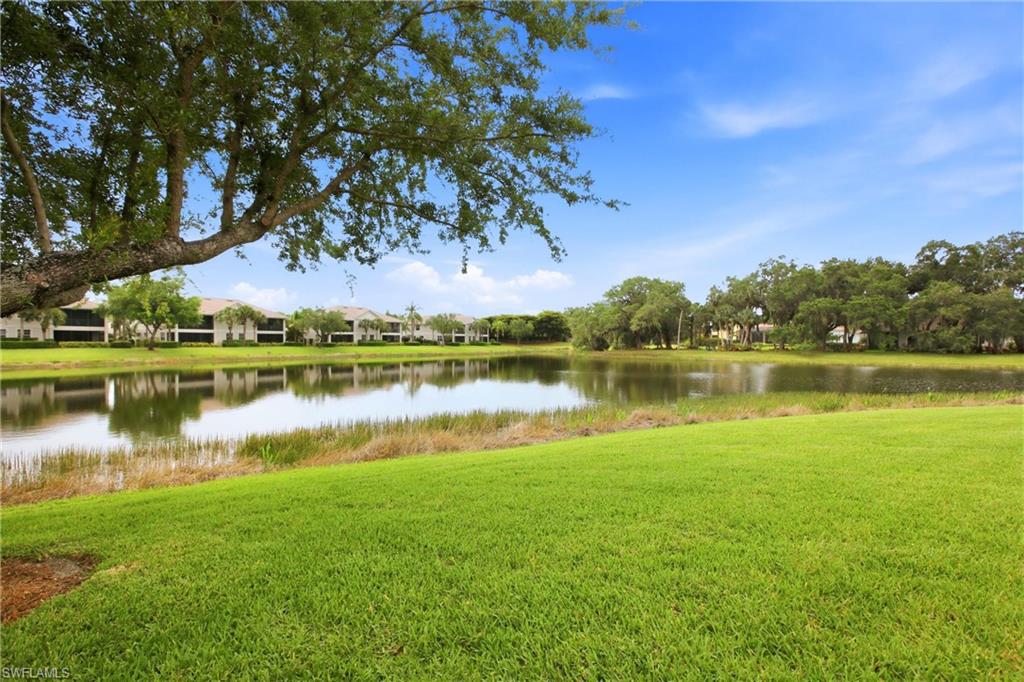 13010 Pebblebrook Point CIR 101 photo 19