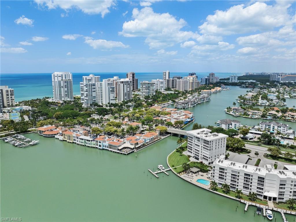250 Park Shore DR 803
