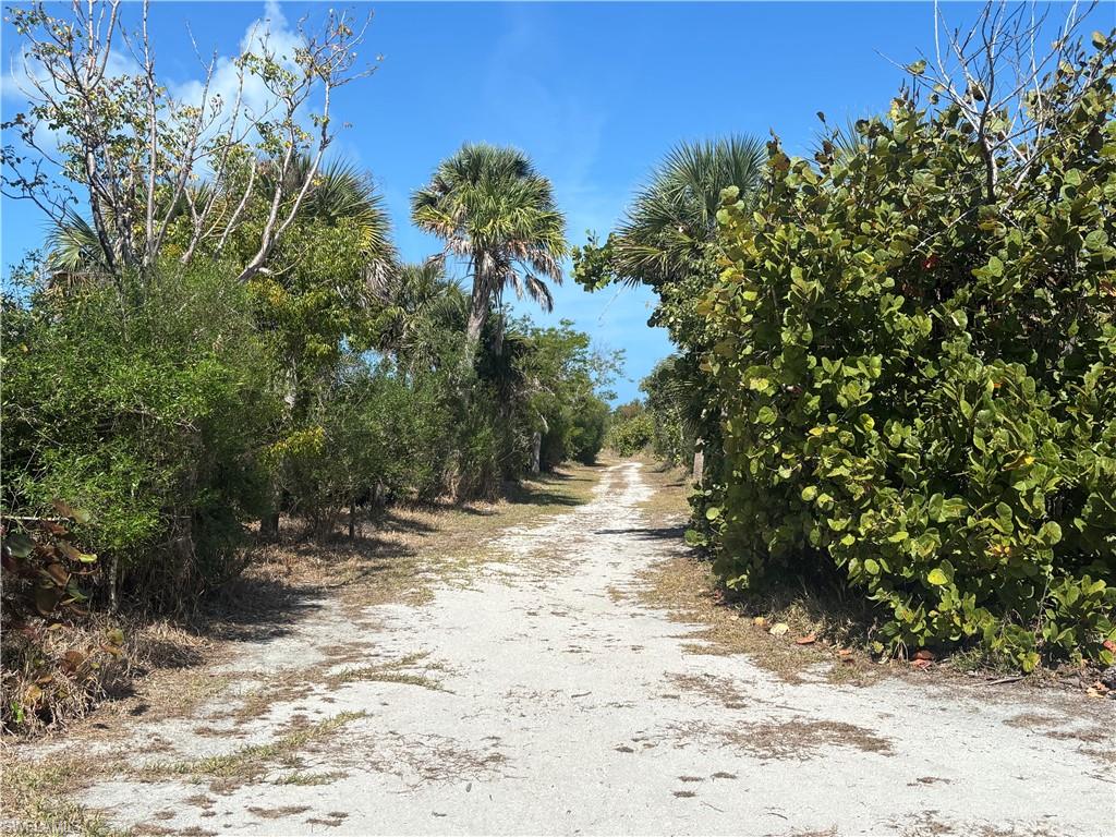 Path to Beach