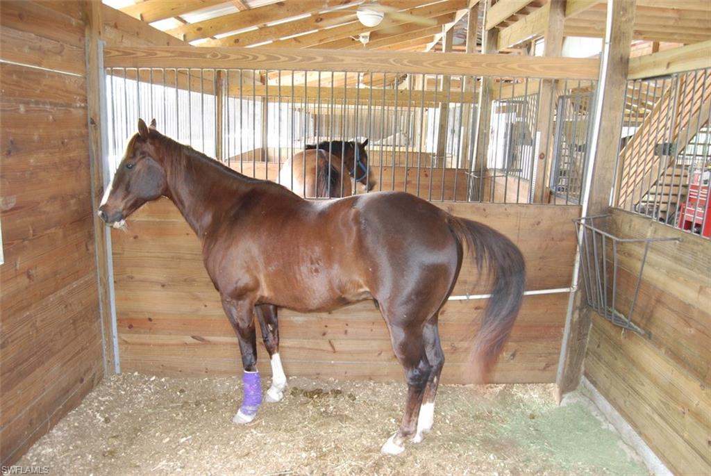 Horses are not allowed to be kept on your property, but horse boarding is available at a horse barn on an adjoining property! Ride your horse to your property then ride it back to the nearby horse barn!