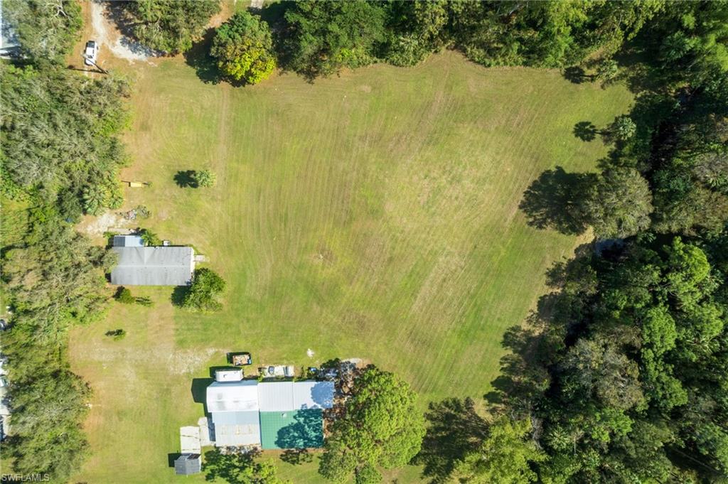 Expansive green space with perimeter tree line