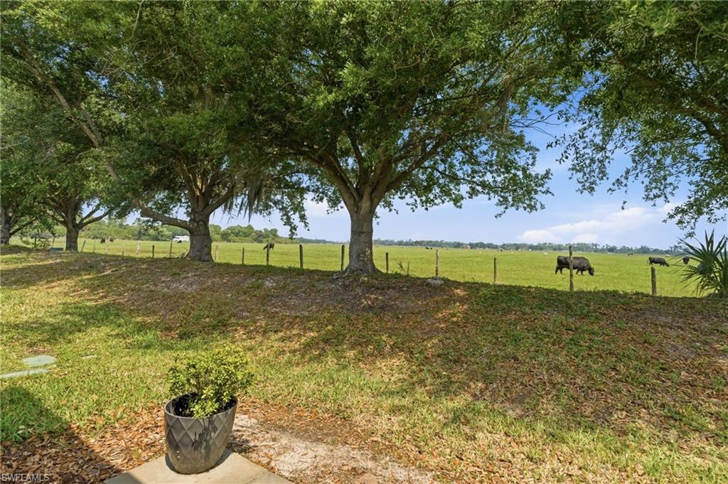 8834 Tuscany Isles DR photo 29
