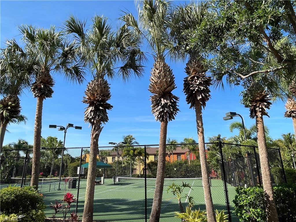 Ole Tennis courts