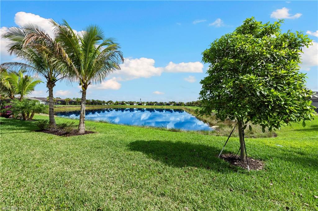 An expansive green lawn with mature palm trees and established foliage, bordering a tranquil body of water make for a fantastic view