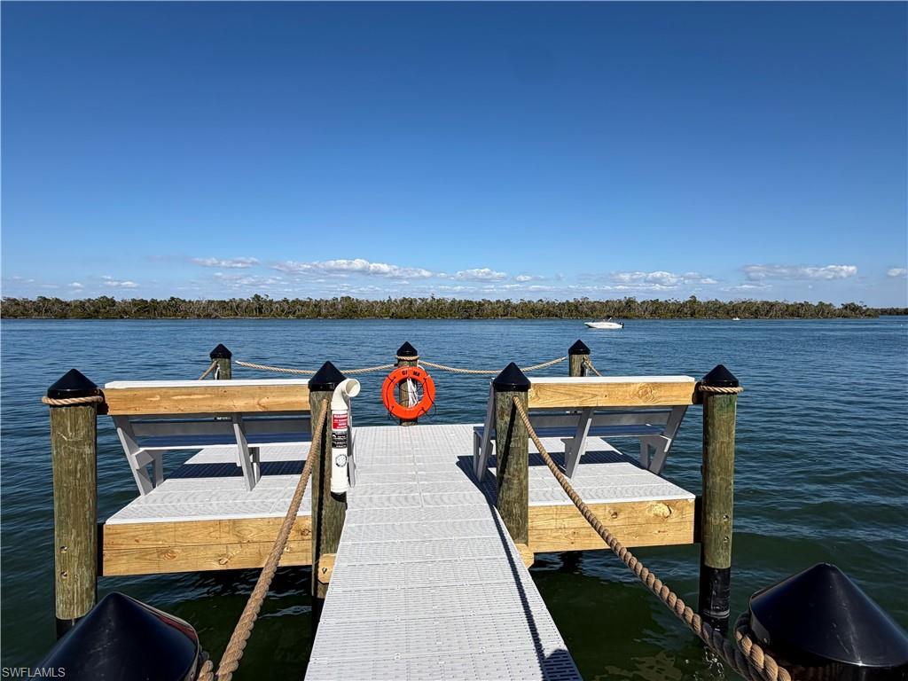Dock with a water view