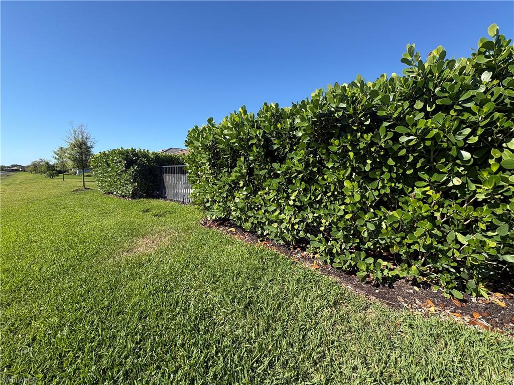 Lush privacy hedge bordering a verdant lawn