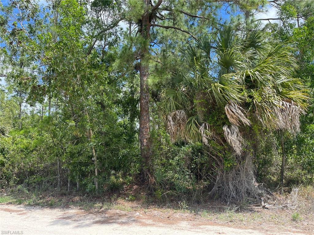 1920 Blue Sage DR photo 10