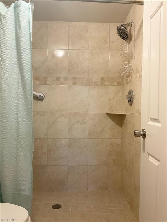 Primary bathroom with walk-in shower and toilet