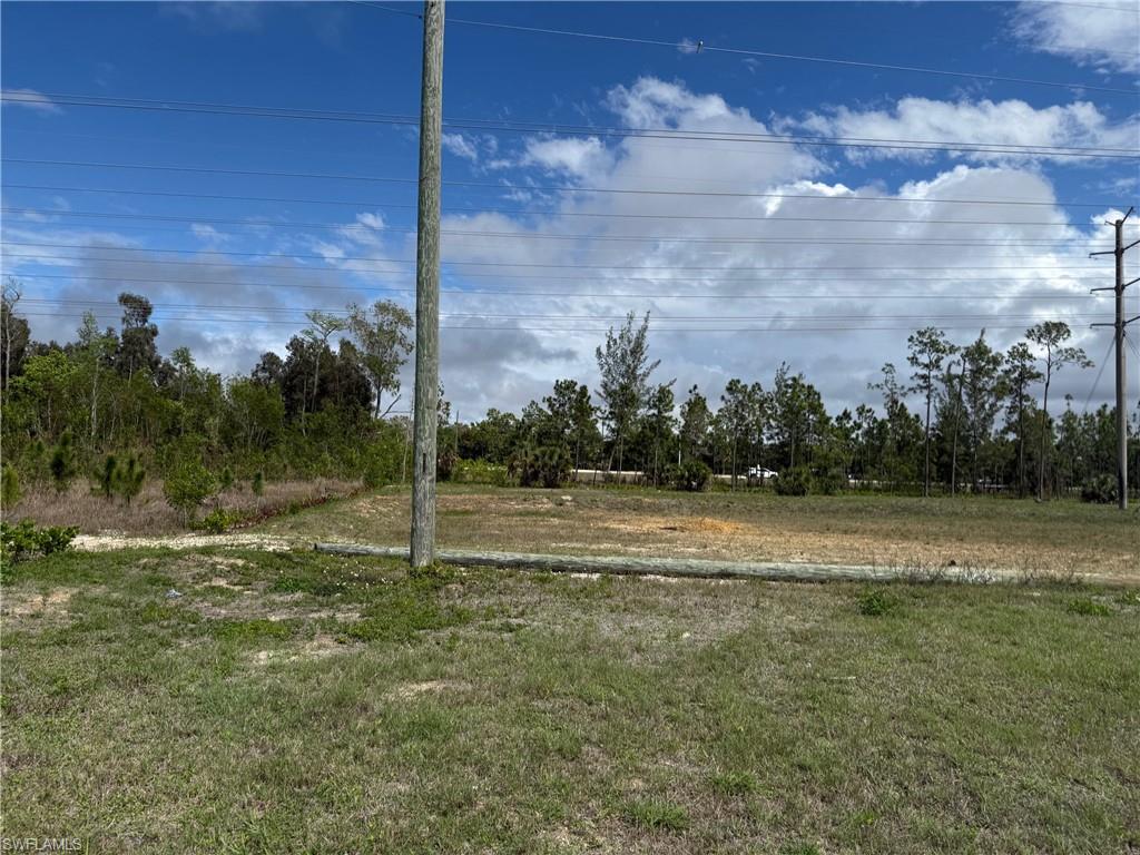 Expansive land parcel with partial clearing, surrounded by natural foliage