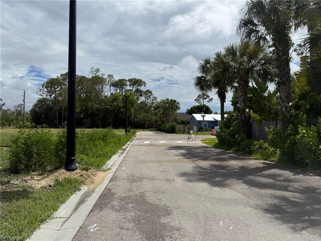 Paved road frontage with defined curb, featuring mature palm trees and lush green foliage