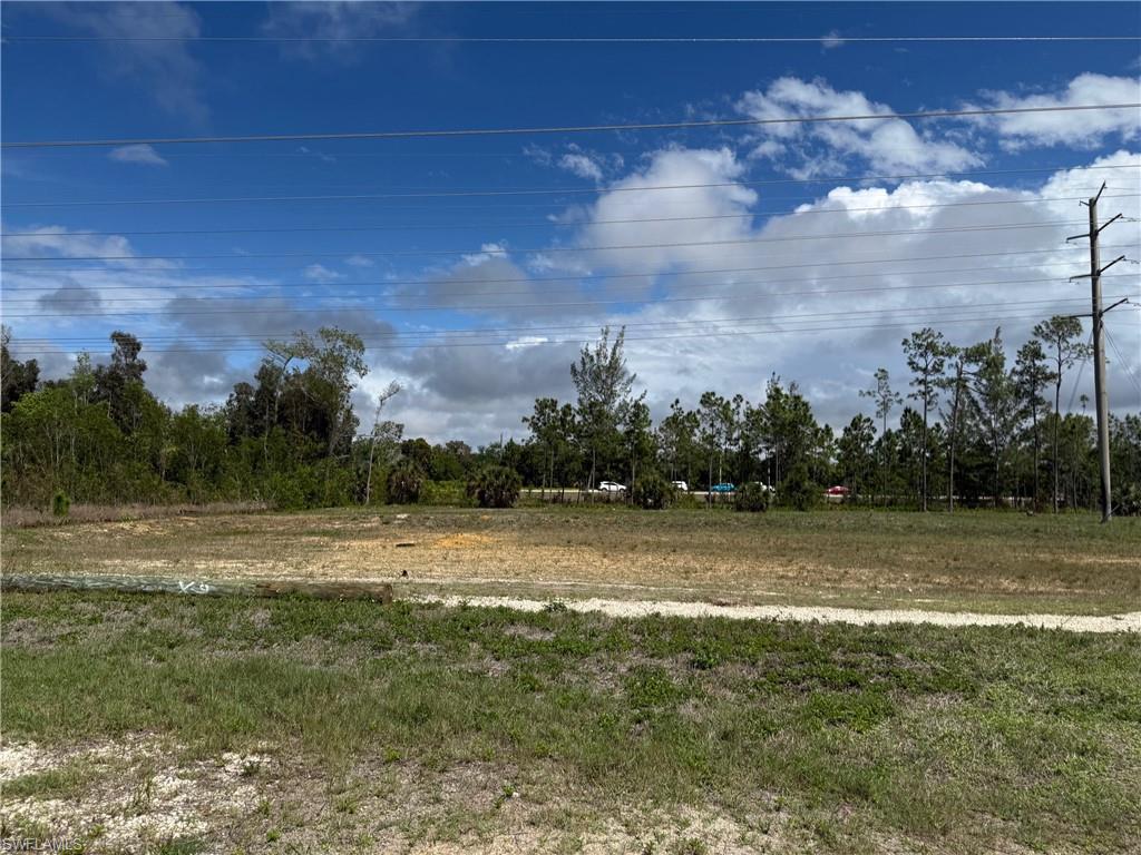 Expansive undeveloped lot featuring mixed vegetation and natural surroundings