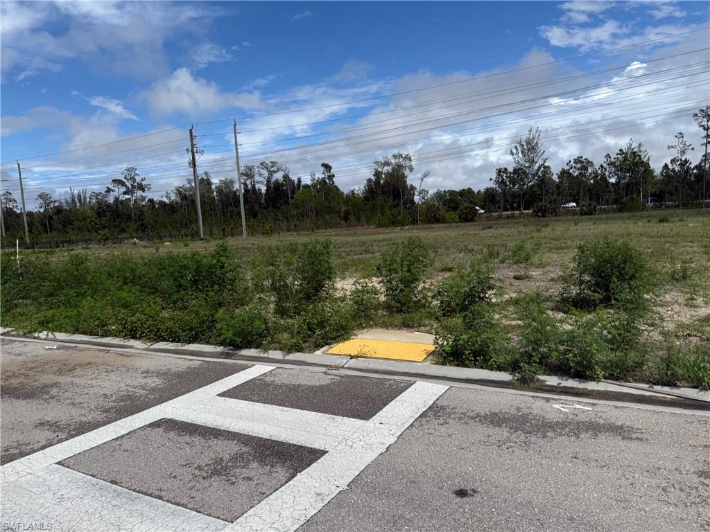 Expansive undeveloped land parcel featuring natural vegetation, mature tree line, and paved road frontage with curb and gutter infrastructure