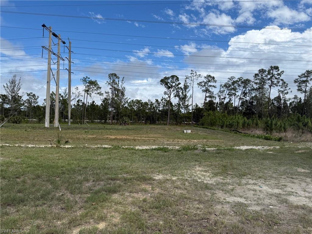 Expansive undeveloped parcel featuring established vegetation and a clear sky backdrop