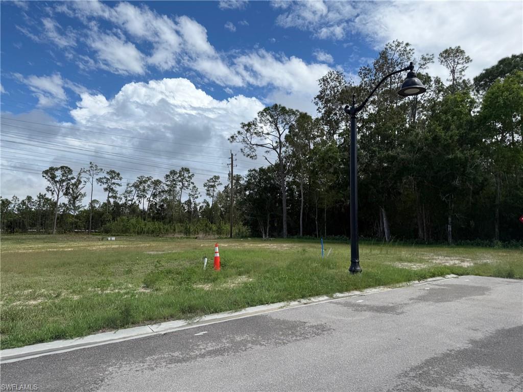 Expansive lot with cleared land, featuring a paved street frontage, concrete curbing, and a black decorative street lamp