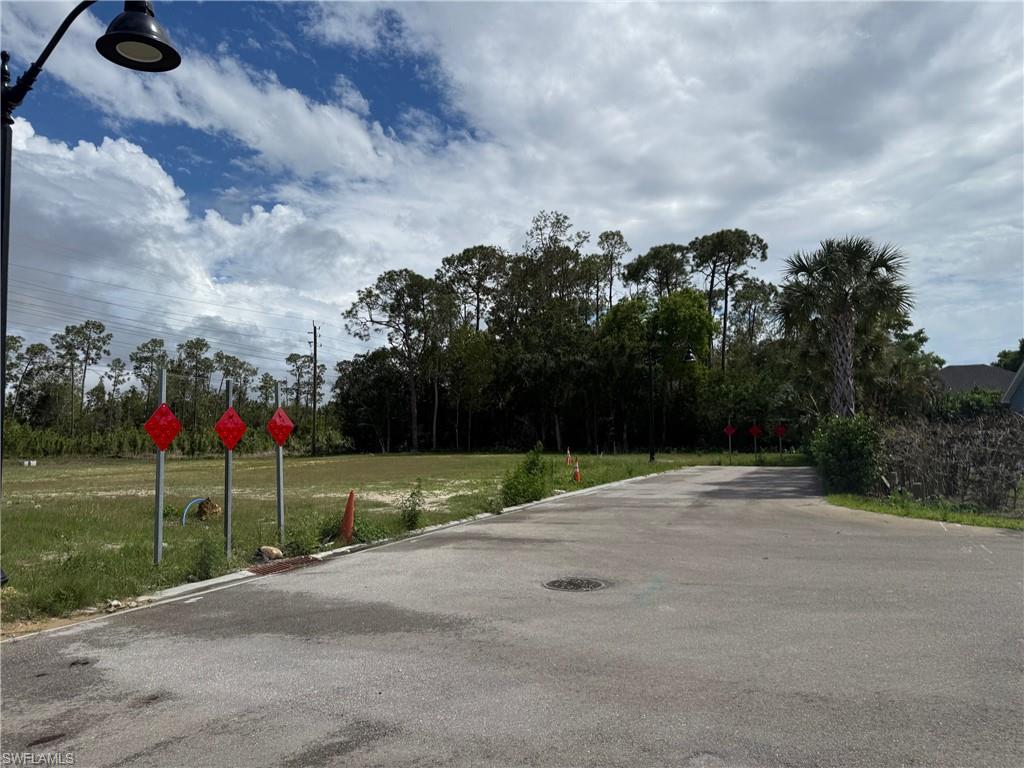 Paved asphalt driveway with bordering natural landscaping and mature trees