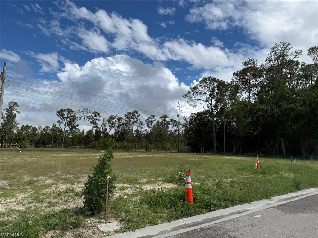 Expansive land parcel featuring existing road frontage and a backdrop of mature trees