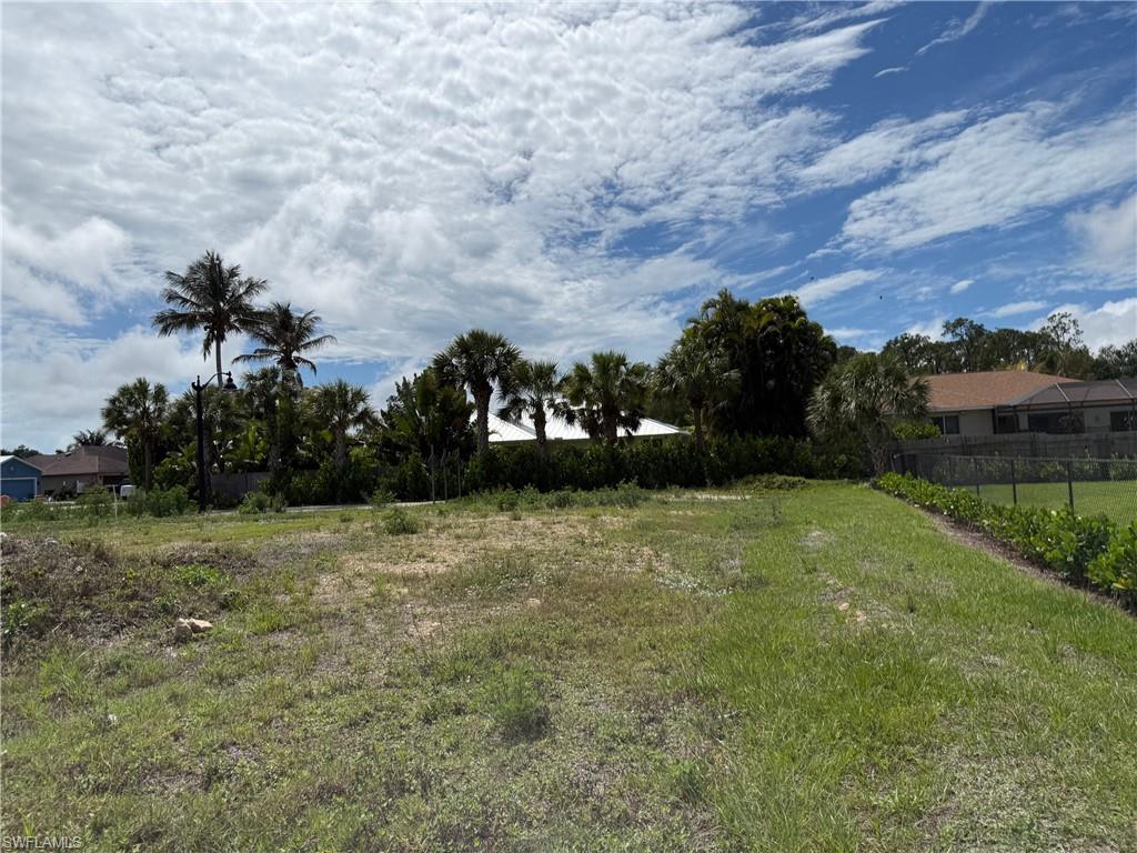 Generous lot featuring a partial privacy fence and mature tropical plantings