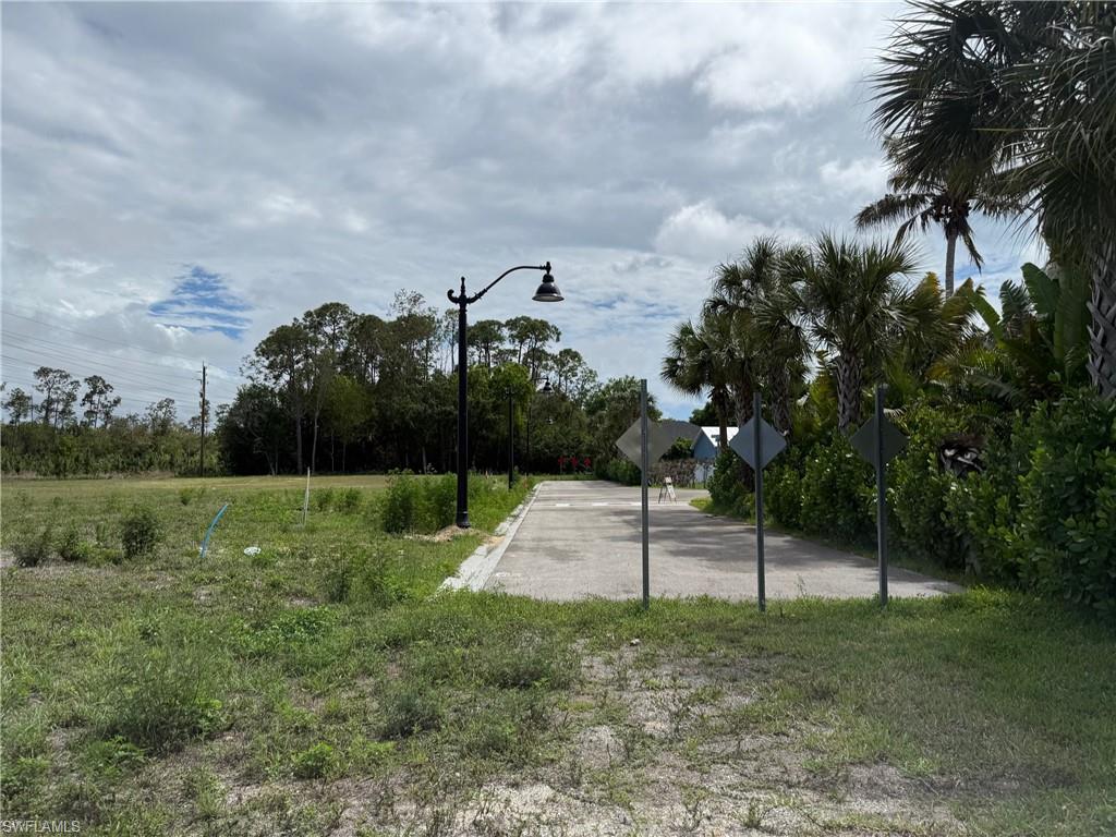 Grassed lot featuring a paved pathway, mature palm trees, and established landscaping