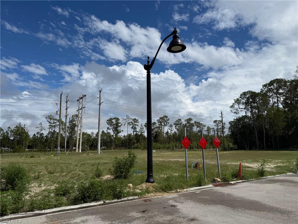 Grassed lot featuring a black street lamp and paved roadway