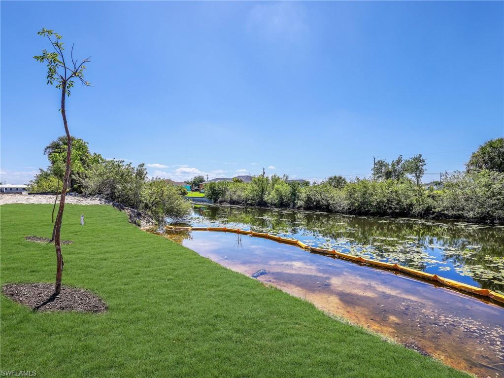 Waterfront lot featuring a grass lawn, a young tree, and established foliage along the waterway  The color of the grass has been virtually enhanced
