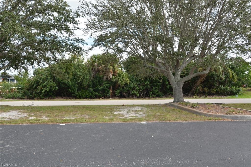 4114 PALM DR photo 6