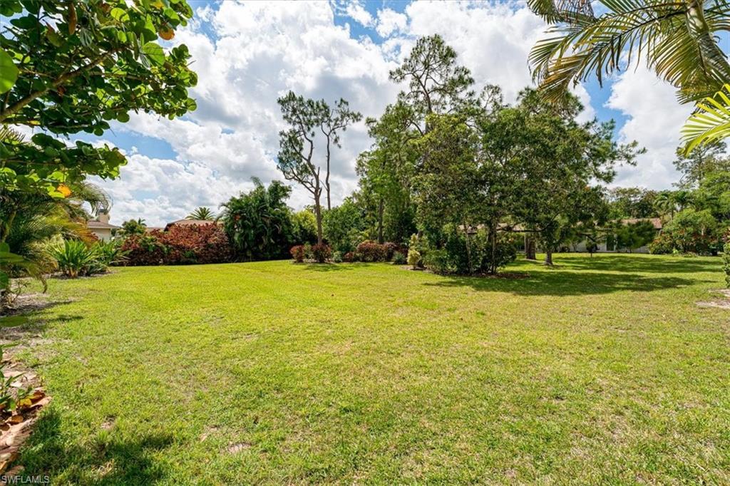 Green Space off the backside of Patio