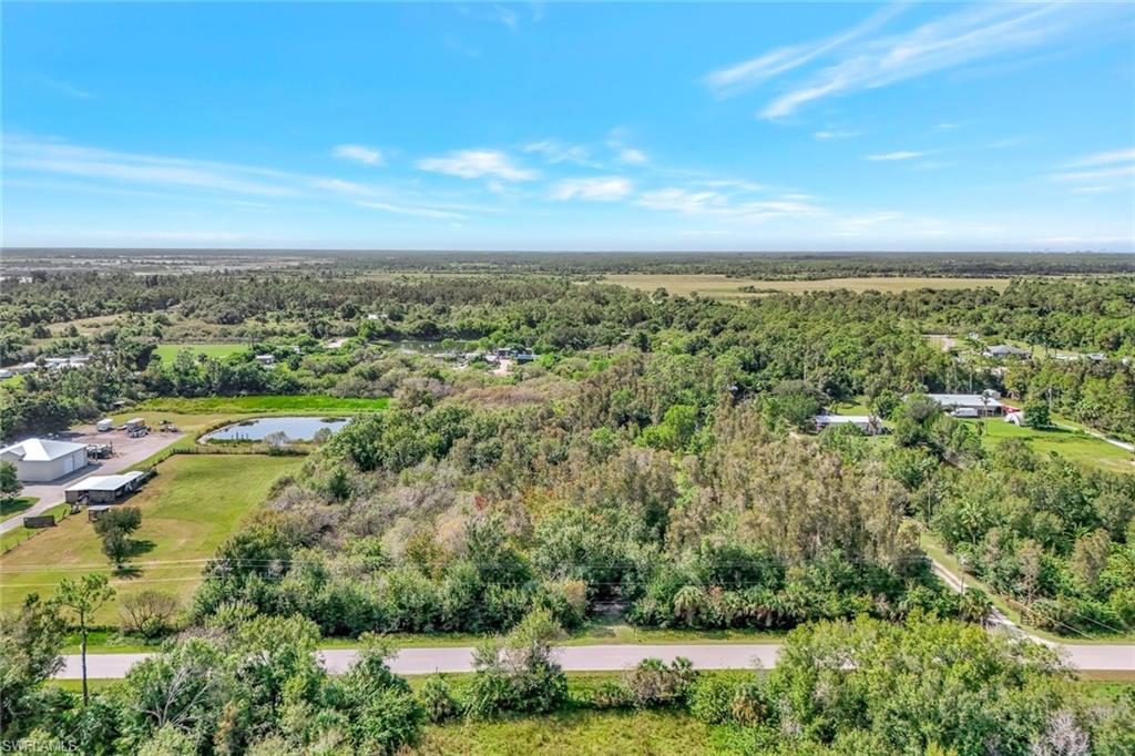 Drone / aerial view of a nearby body of water and a forest