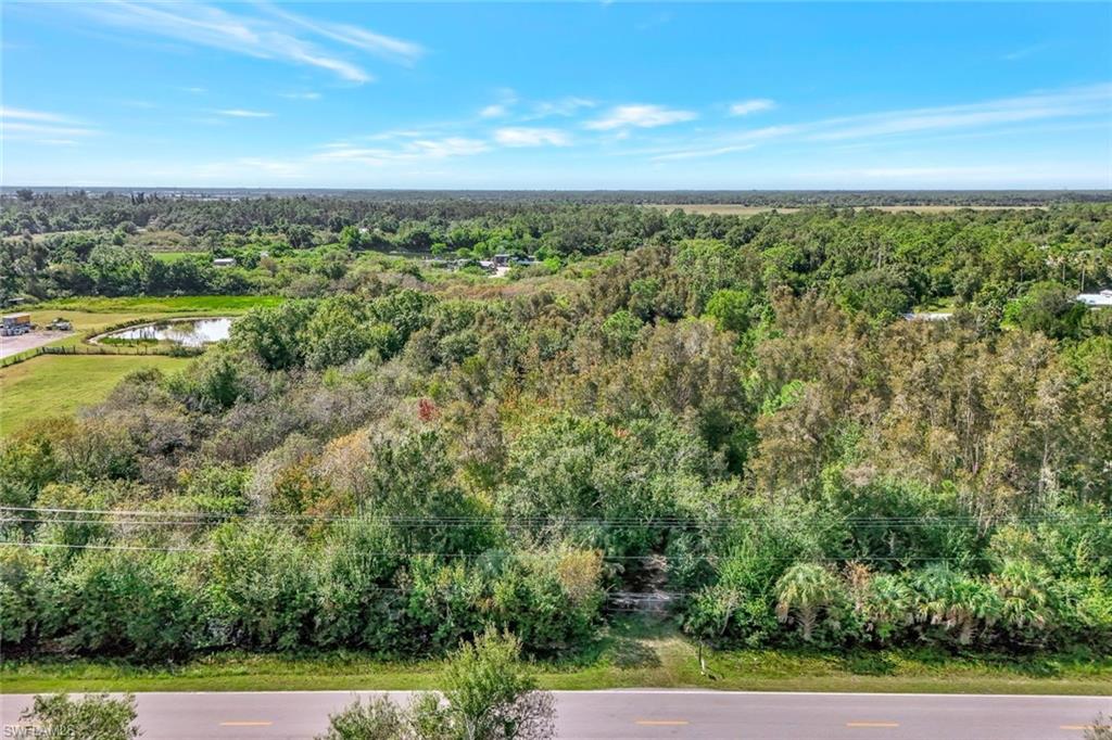 Drone / aerial view of a heavily wooded area and a large body of water