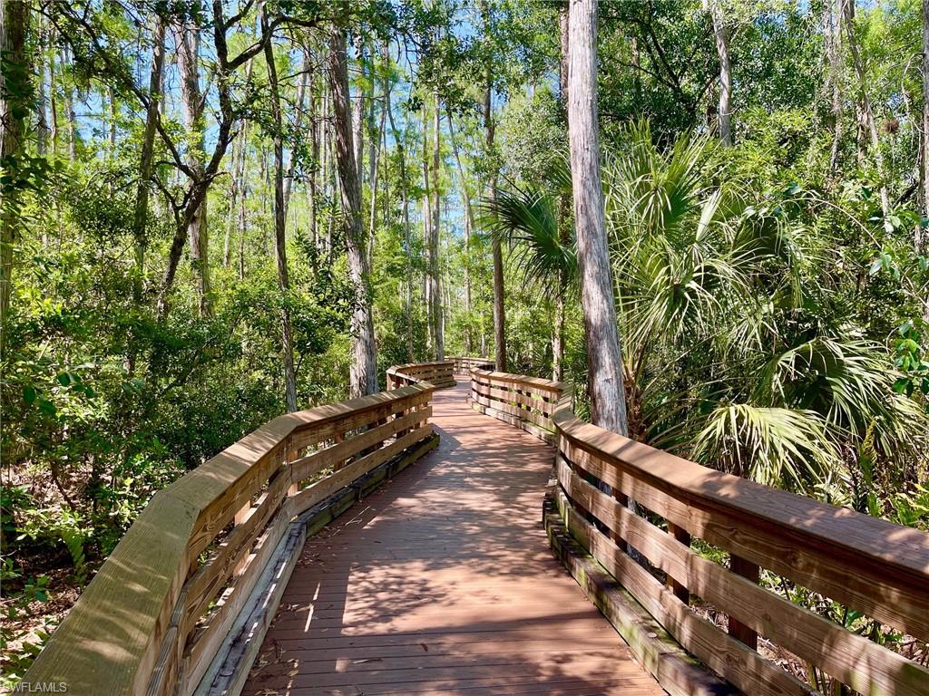 Curved boardwalk through the nature preserve featuring natural wood construction and slatted railings, surrounded by lush, mature trees and varied foliage