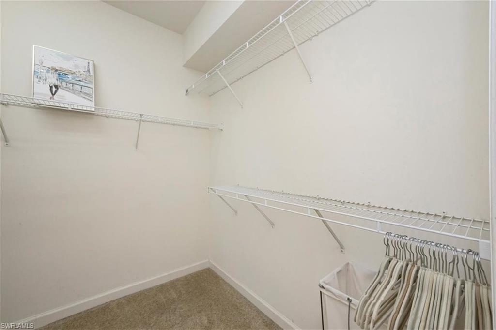 Walk in closet with light carpet